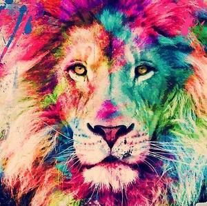 Meet your Posher, Traciee